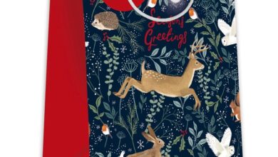 Large Christmas Wildlife Gift Bag