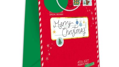 Medium Special Delivery Christmas Gift Bag