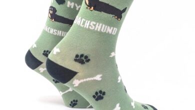 I Heart My Dachshund Socks - Size 4 - 8