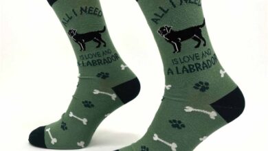 All I Need is Love and a Labrador Socks - Size 7 - 11
