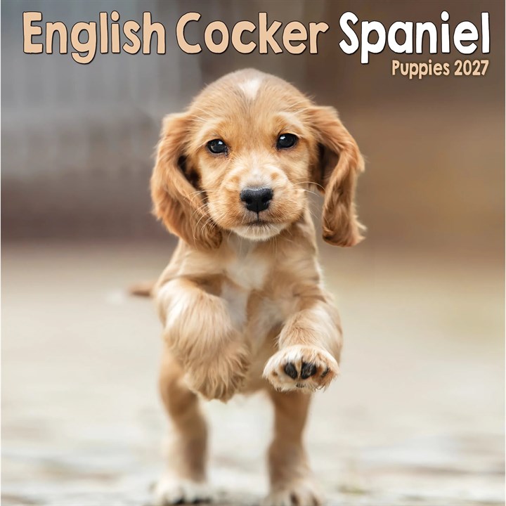 English Cocker Spaniel Puppies Mini Calendar 2027