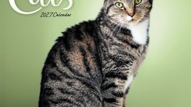 Cats Calendar 2027
