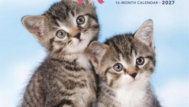 Cute Kittens Calendar 2027