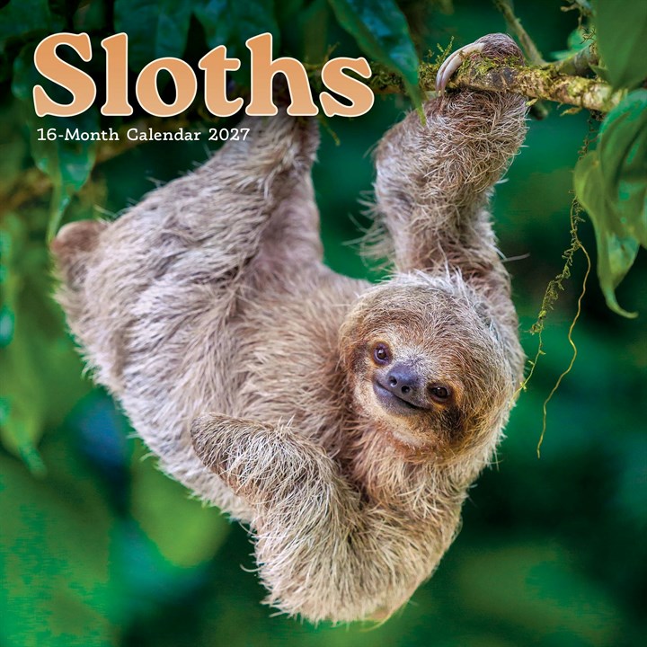 Sloths Mini Calendar 2027