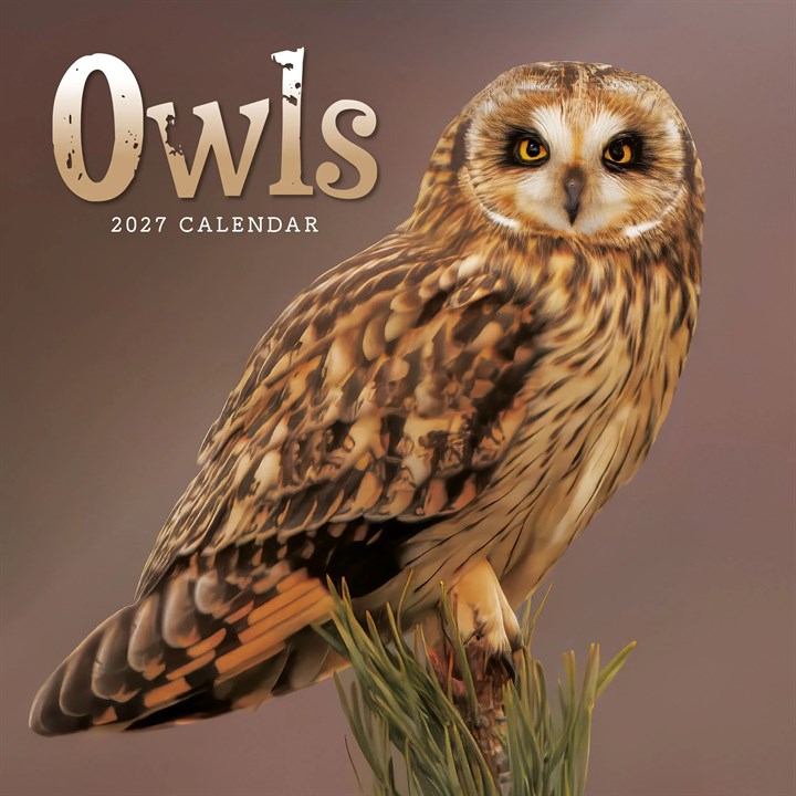 Owls Mini Calendar 2027