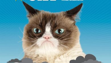 Grumpy Cat Calendar 2027