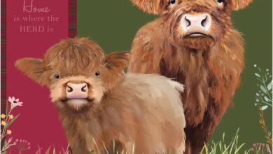 Highland Cows Family Organiser 2027
