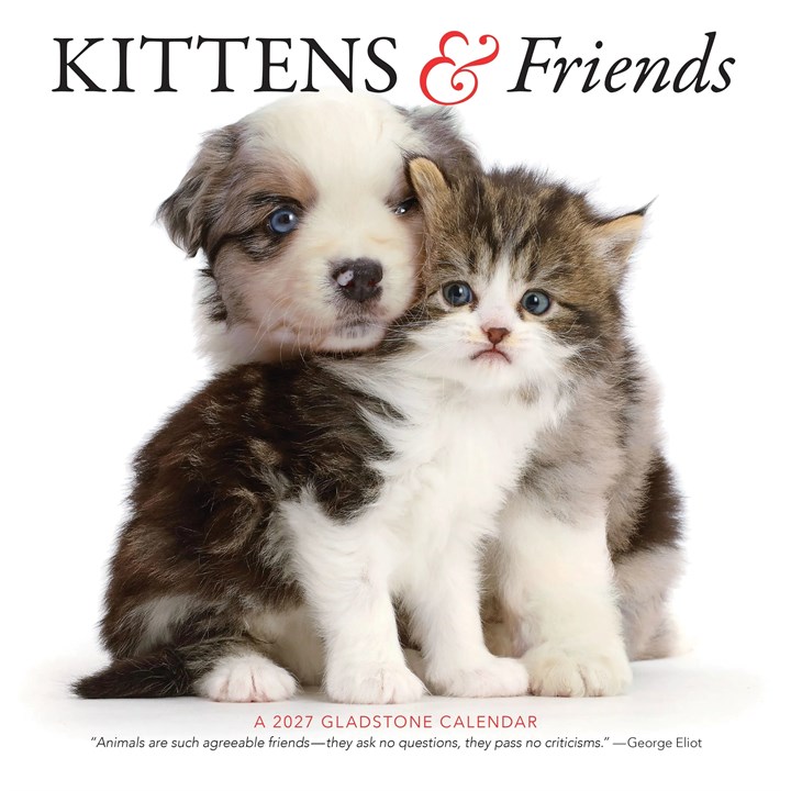 Kittens & Friends Calendar 2027