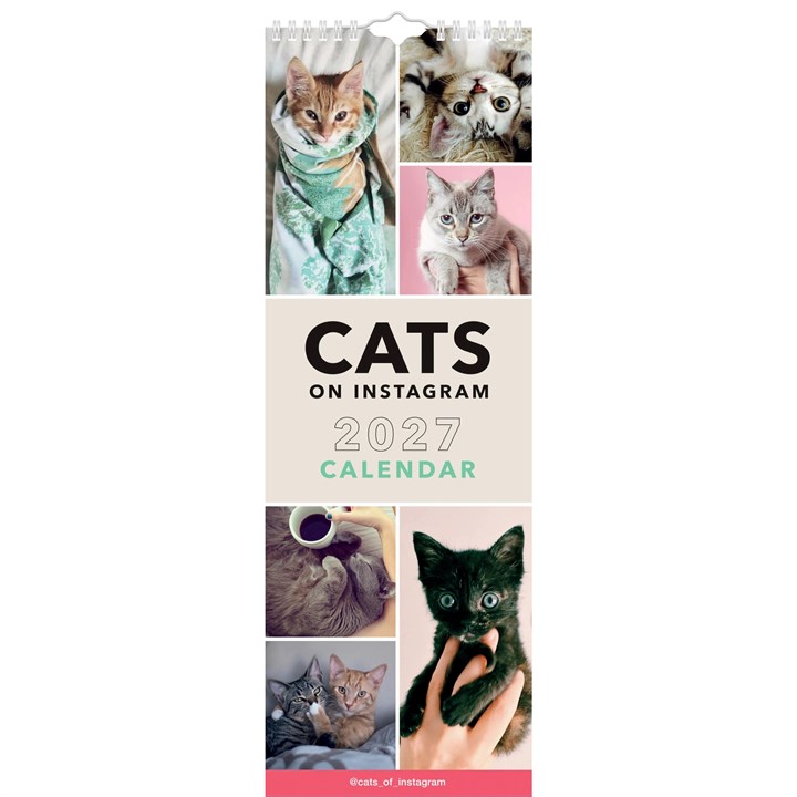 Cats On Instagram Slim Calendar 2027