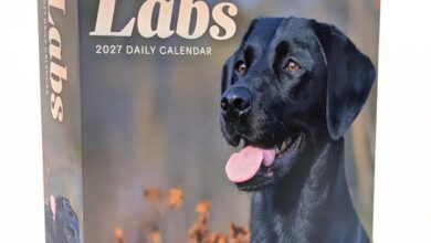 Labrador Retrievers Desk Calendar 2027