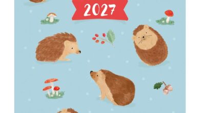 Hedgehogs Pocket Diary 2027