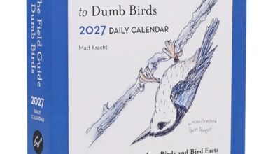 The Field Guide To Dumb Birds Desk Calendar 2027